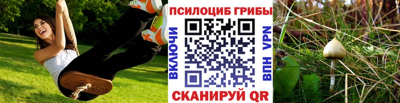 mega зеркало  Тюмень  Галлюциногенные грибы ЛСД  как найти  